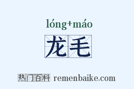 龙毛是什么意思的图片